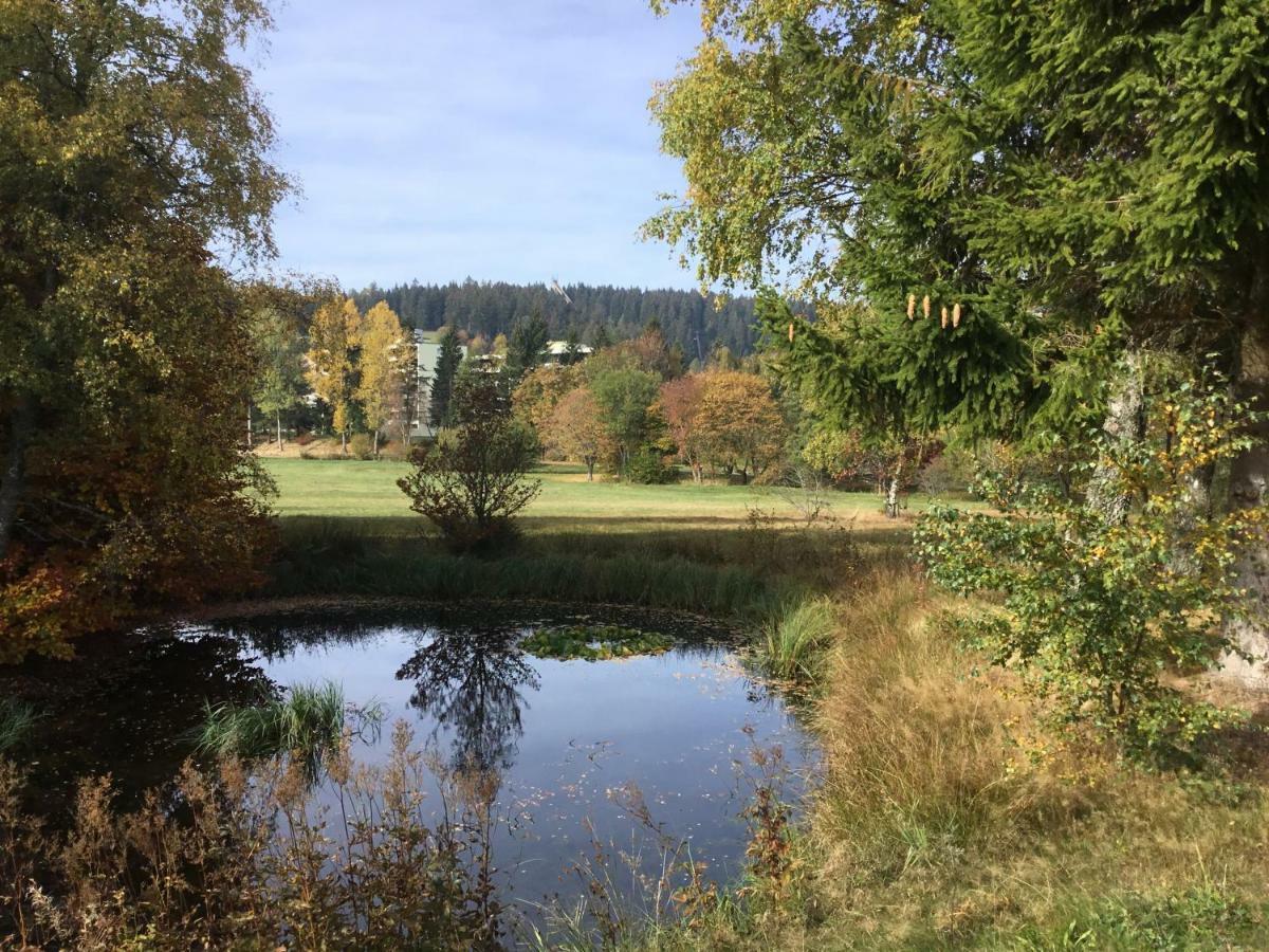 Gemuetliche 1Z Fewo In Schoenwald Mit Balkon, Schwimmbad, Sauna, Fitness Exteriér fotografie